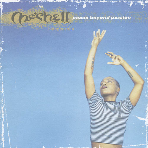 meshell%20beyond%20passion%20cover.jpg